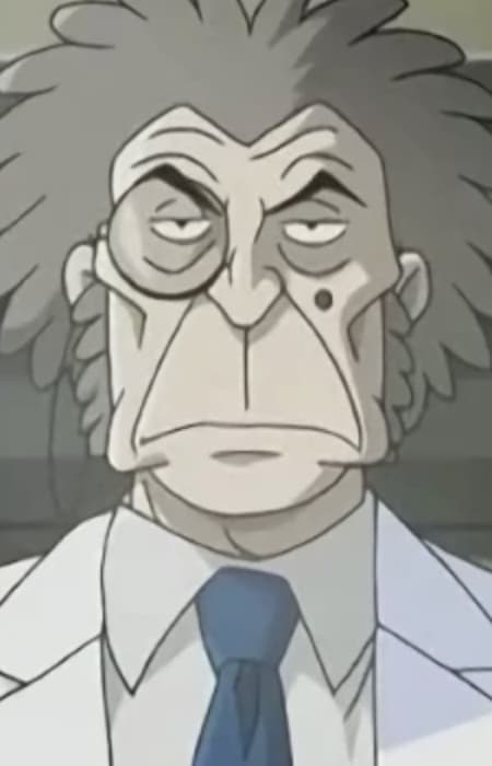Stein