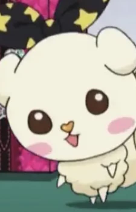 Rimmy