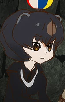 Japanese Black Bear