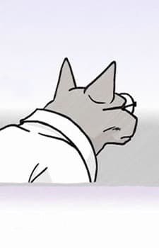 Cat Professor