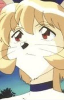 Michi-Michi