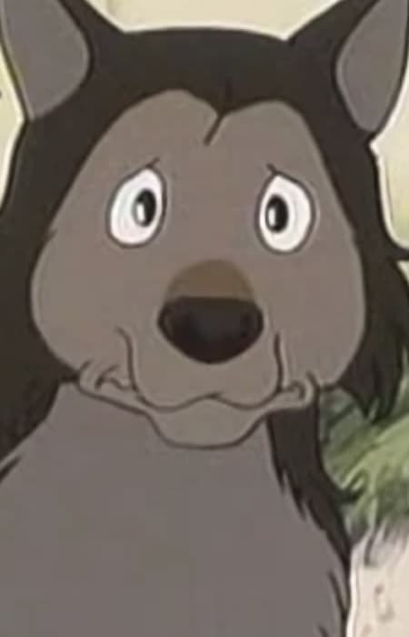 Sura