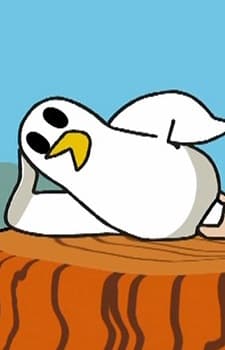 Pidgeon's Bride
