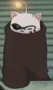 Kupo