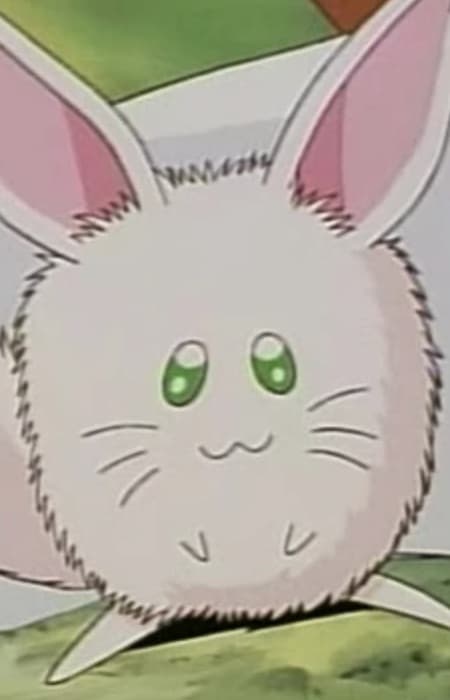 Rurupapa