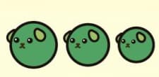 Green Pea
