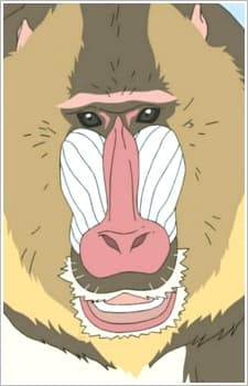 Mandrill