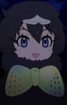 Western Parotia